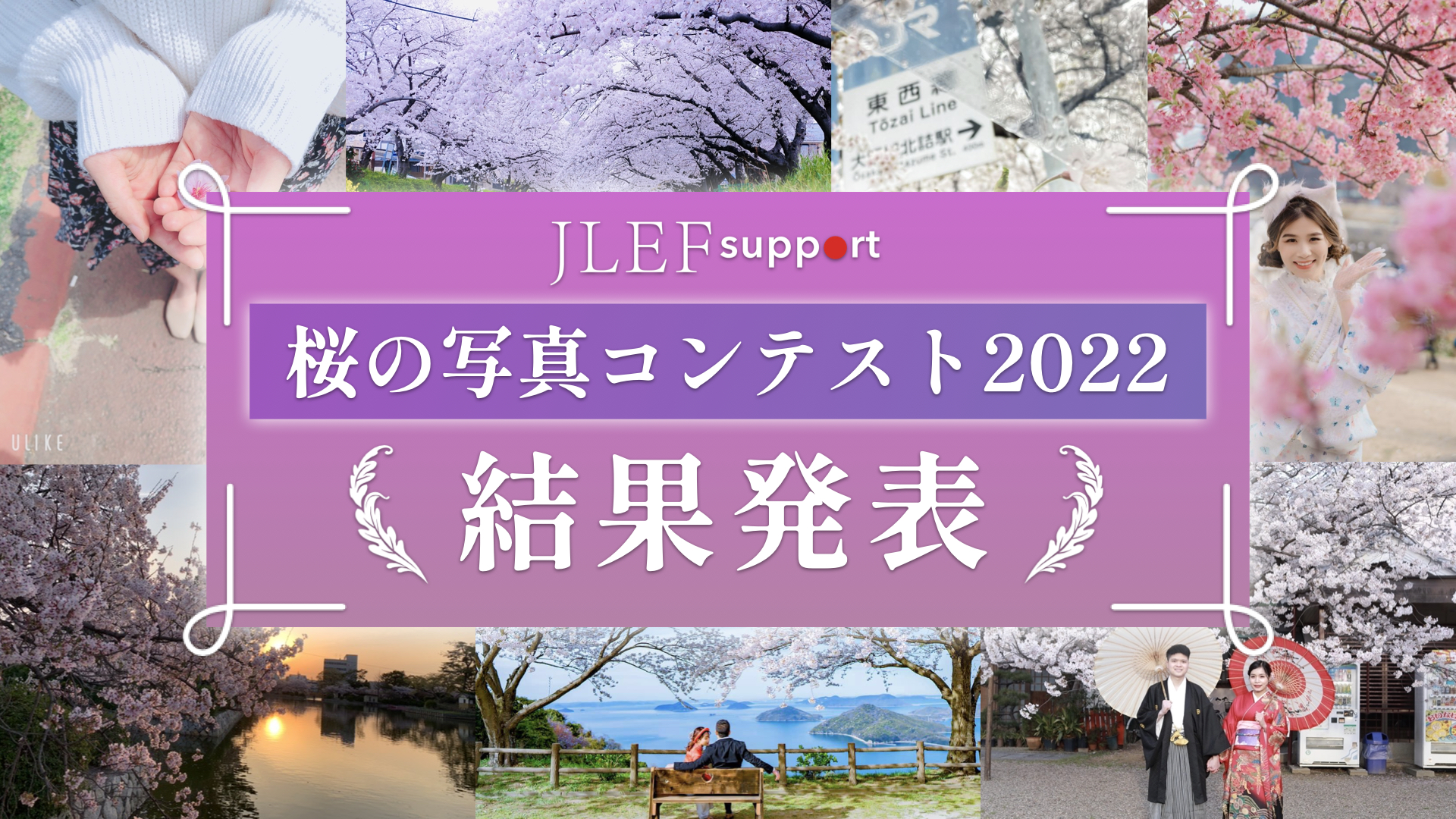 JLEF Support「桜の写真コンテスト2022」結果発表